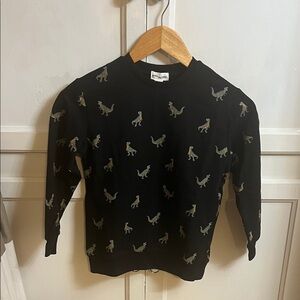 Kids Black Dinosaur Sweatshirt - 7 years